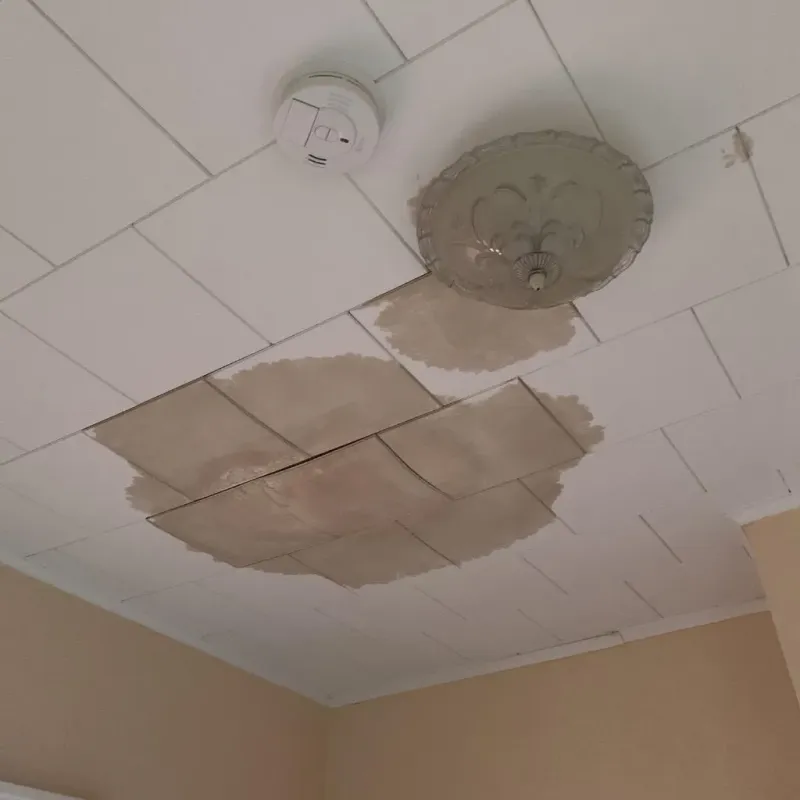 Ceiling Water Damage Repair in Leetonia, OH