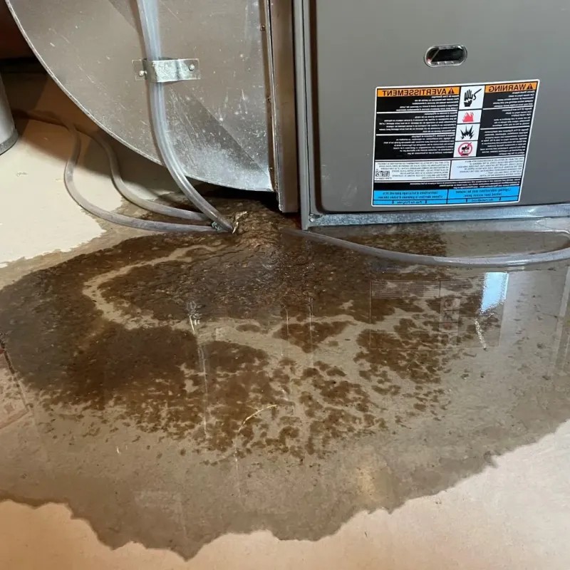 Pipe Burst and Leak Restoration in Leetonia, OH
